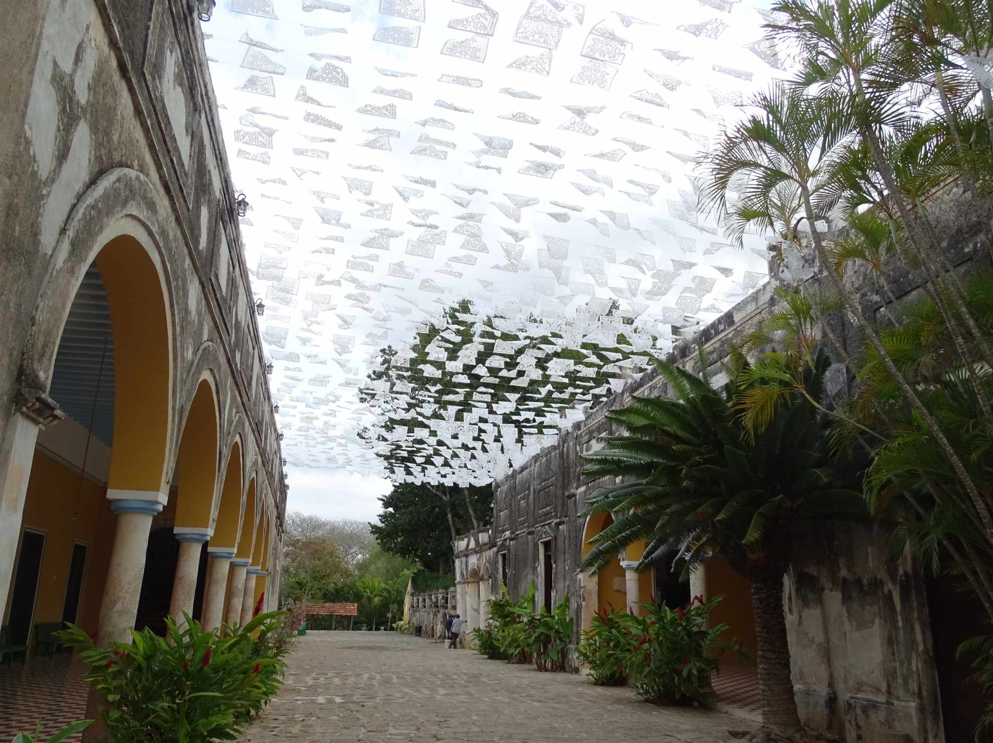 Puerto Aventuras tauchen tauchreise mexiko yucatan gruppenreise cenoten cenotentauchen Maya tempel hacienda rundreise