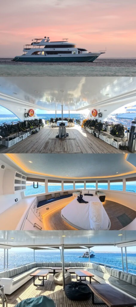 Red Sea VISION Collage 1 RedSeaVISION Red Sea VISION Schiff Liveaboard Tauchsafari Tauchen