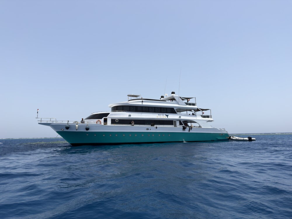 RedSeaVISION Tauchsafari
